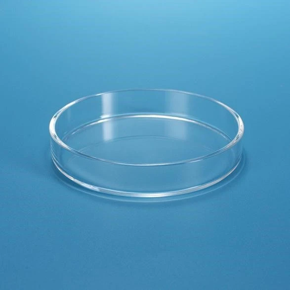 Quartz Petri Culture Dishes